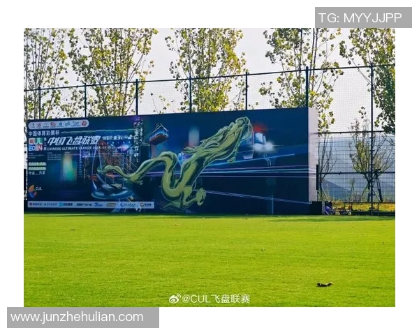 南京飞盘队进攻战术解析与运动飞盘的热门趋势探讨